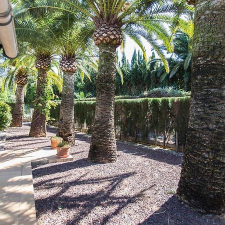 Finca Pepe 2 Hotel เดเนีย ภายนอก รูปภาพ
